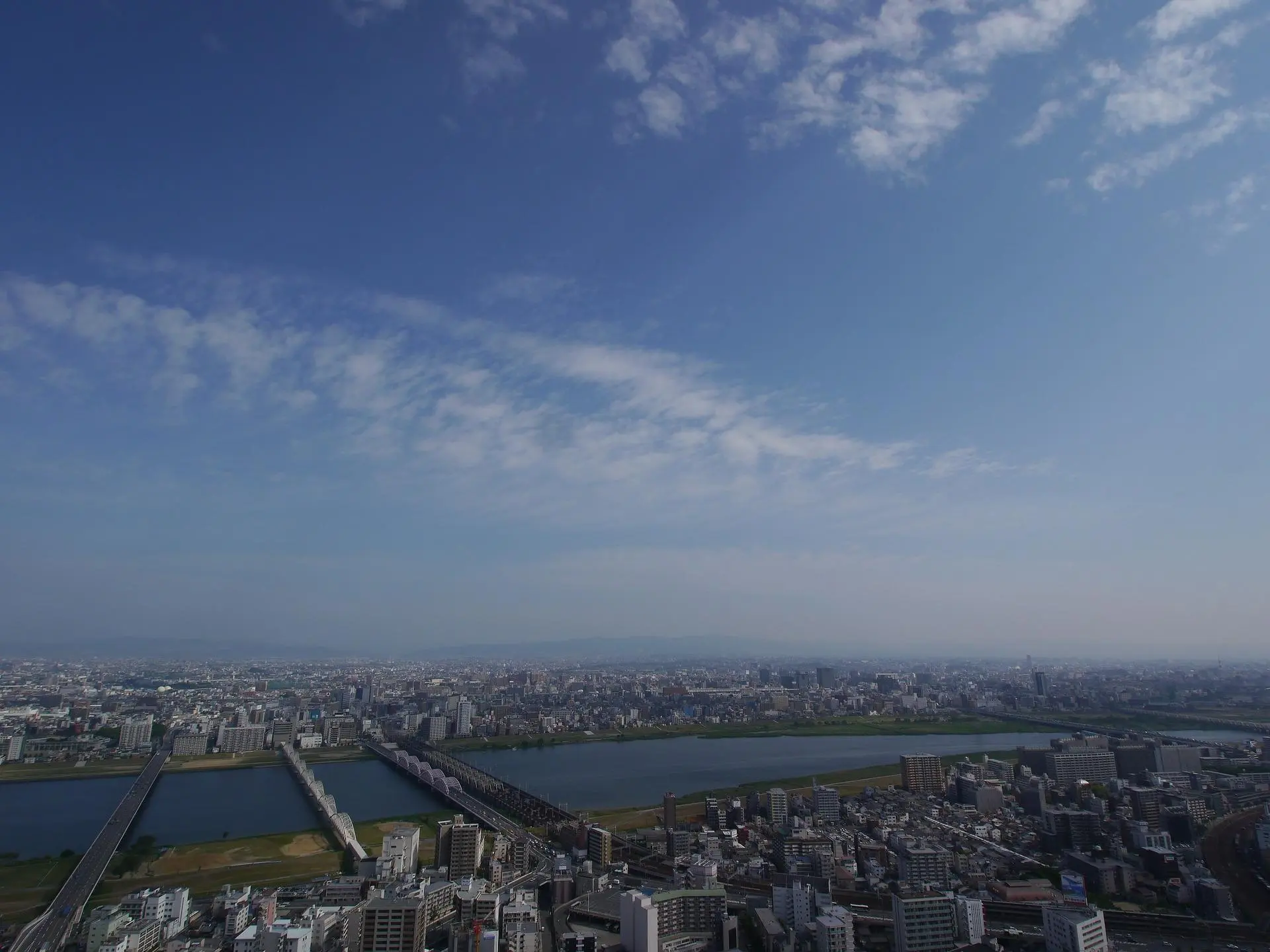 採用情報